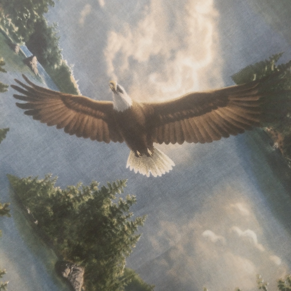 Eagle Fabric Remnant Fabric Craft Project Quilting 72" x 44"